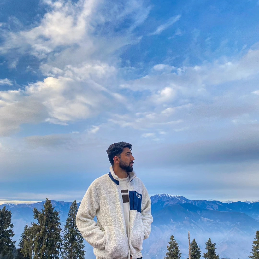 Professional journey